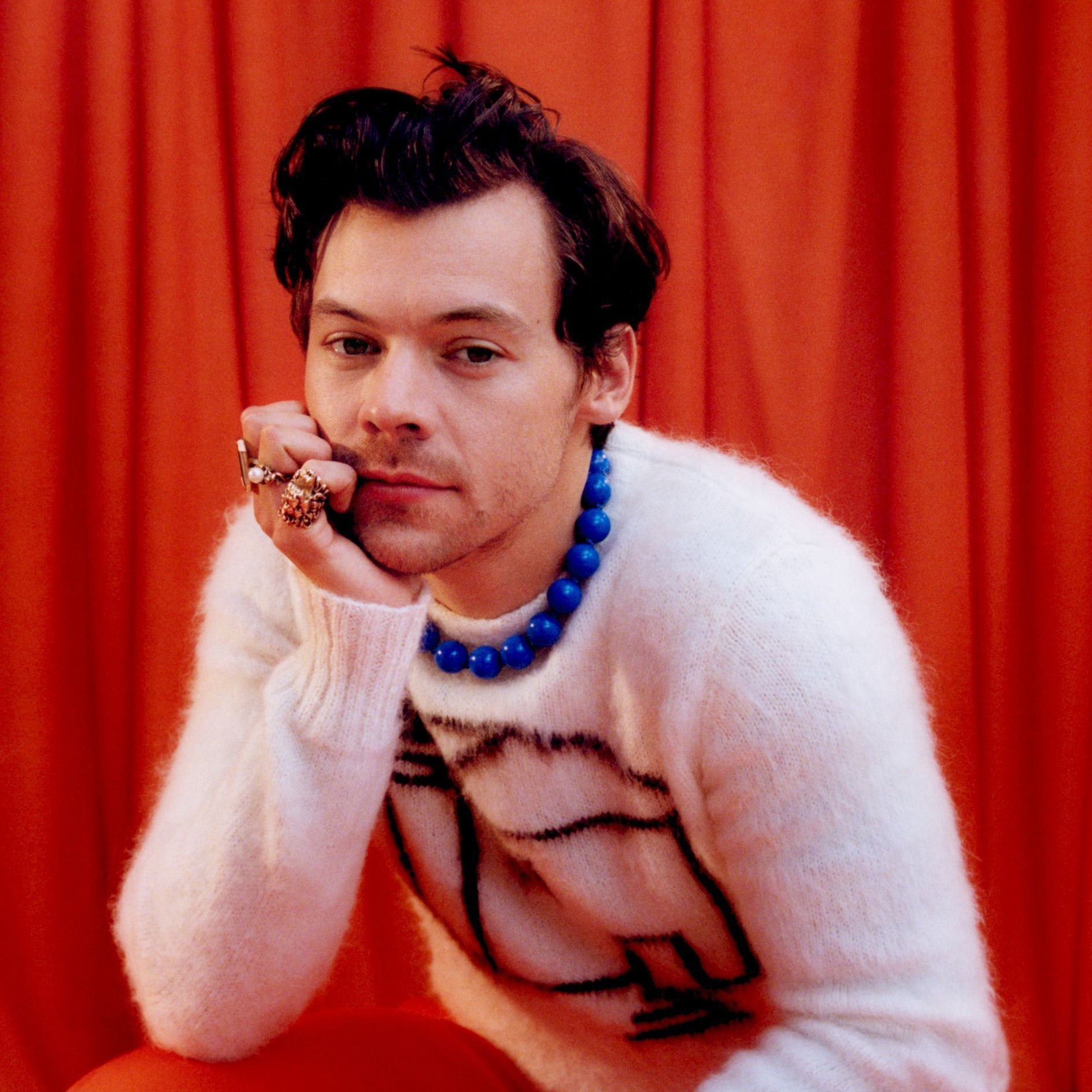 Translation missing: nl.Harry Styles: Harry Styles
