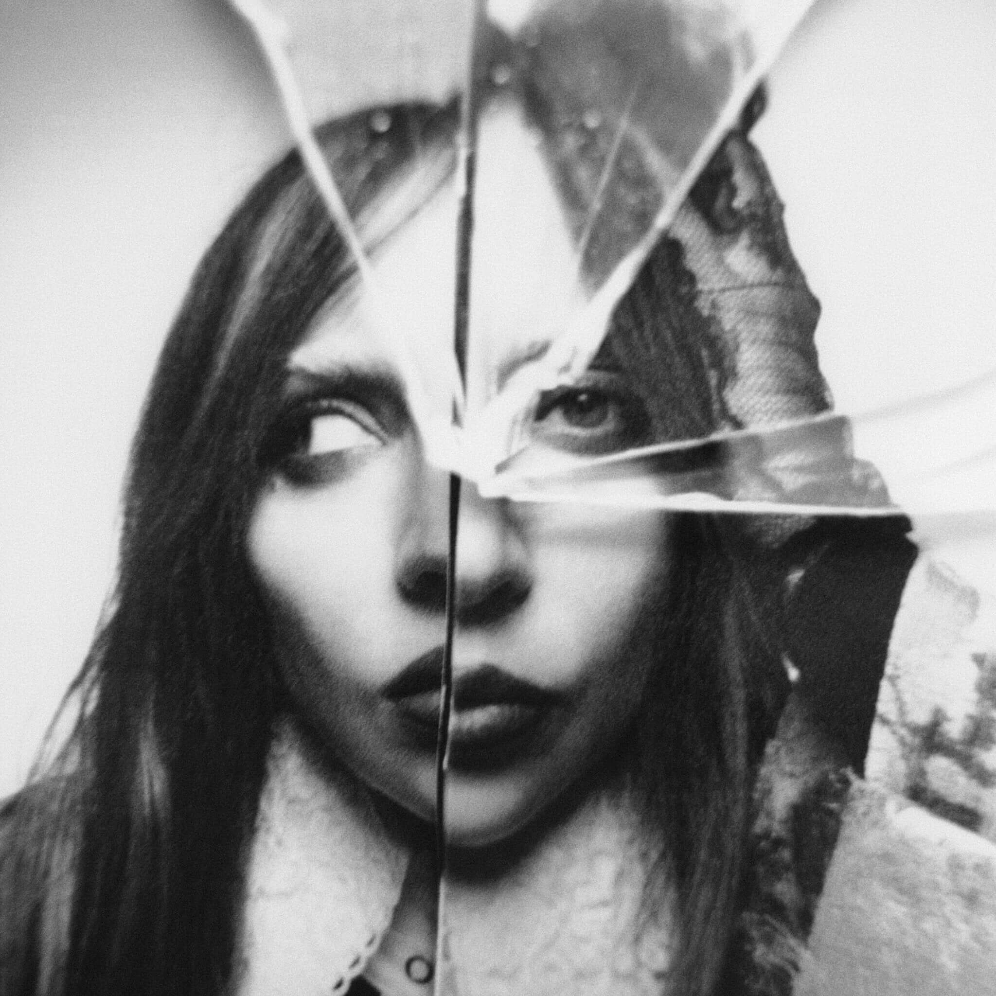 Translation missing: nl.Lady Gaga - Plastic Books: Lady Gaga