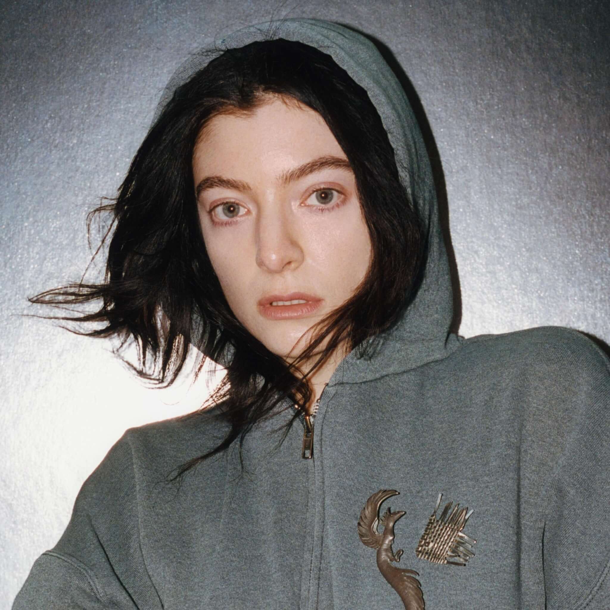 Translation missing: nl.Lorde - Plastic Books: Lorde