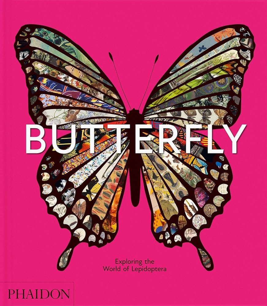 Butterfly: Exploring the World of Lepidoptera