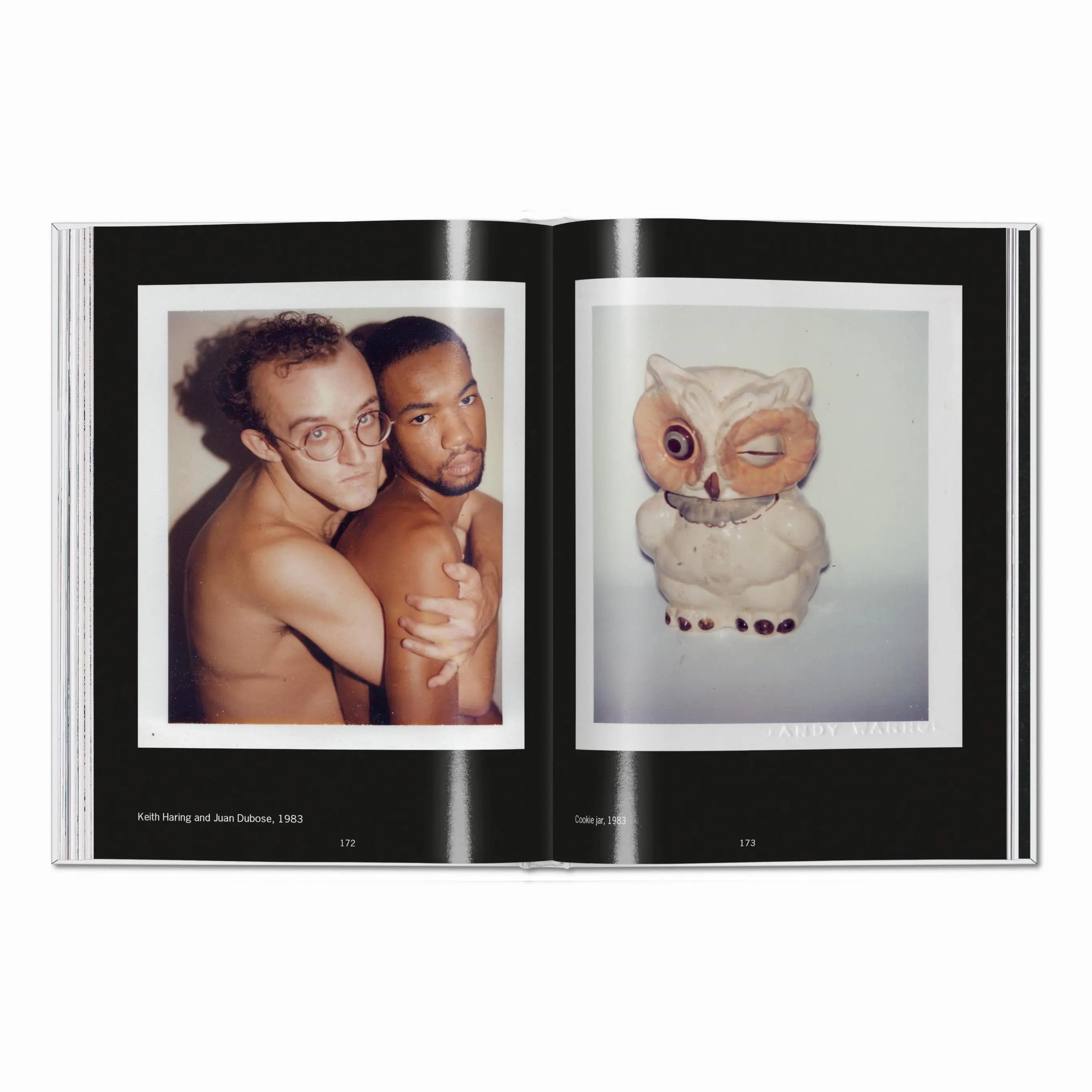 Andy Warhol. Polaroids 1958-1987 – Plastic Books